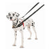 V10H88B6CF494B701975E625CB6F6F3FFA1FR4989140P4