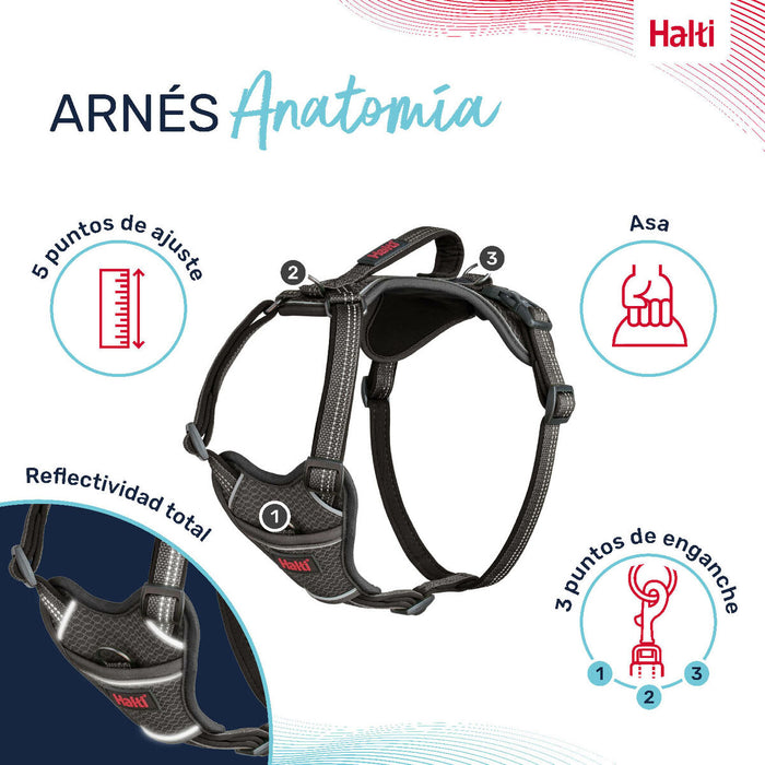V6H0868617AF02961F6094698C203BE05B8R5328574P2