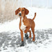 V5HB99D1A81956466E2BDC28FFDDED4D05DR7439860P4