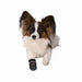 V2H6A1CC818A7AEB2B4B4080ACD1D7CA46FR7804932P4