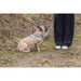 V5H1EE211096E9E8128D1C9A76AE1E723C1R7463758P7