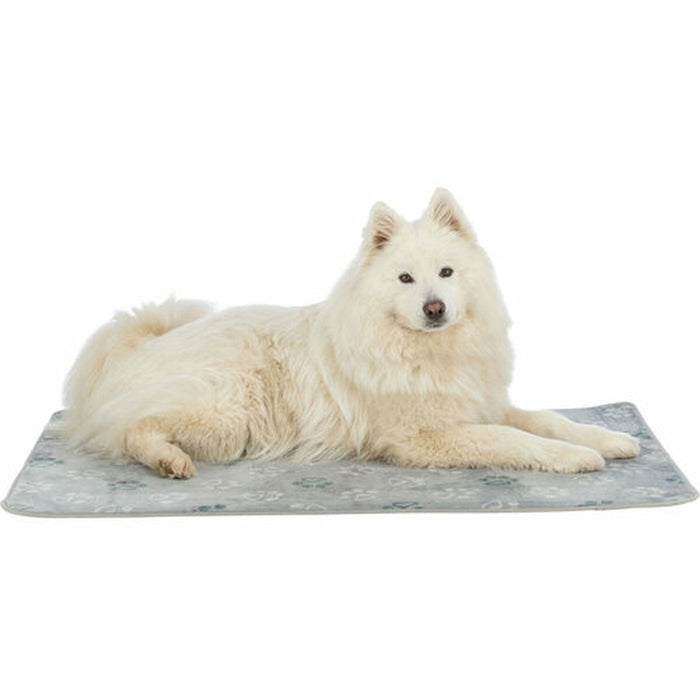 V5H23BE9B11C5FFB929D1E7BE64CFC102E4R7462626P4