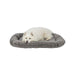 V3HC5DDDCB12140295E030C6BC4DF2F71CBR7565587P2
