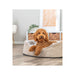 V4H2421475C925482CC686F30434095C627R7472340P6