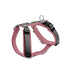 V7H287E6B17AA6B7CC7C2D7A251D4A3883ER4217977P1