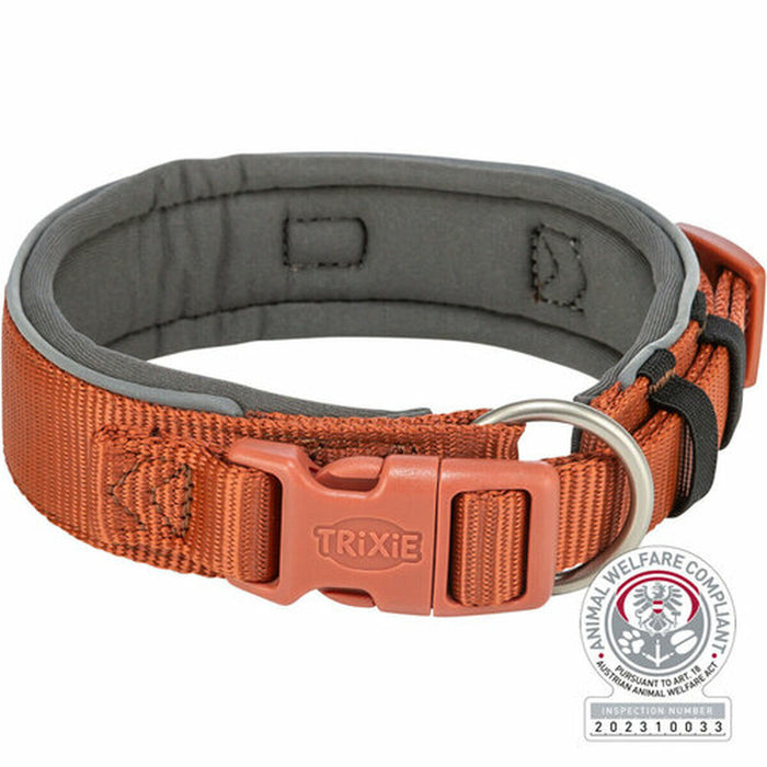 V6HD57A36E289C6173BA4FB86DF177AF255R7458723P2