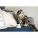 V8HC7CAB0F75F10F3696323620DACA9C4FCR5304063P4