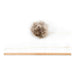 V12H3194A7E97F21DCC9636FB57D0B53F45DR4263187P2