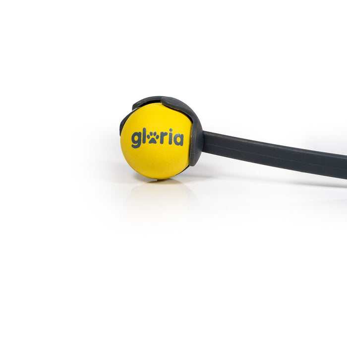 V6HAD375D90D4D5B138B2A08FF694C216CAR5336297P4