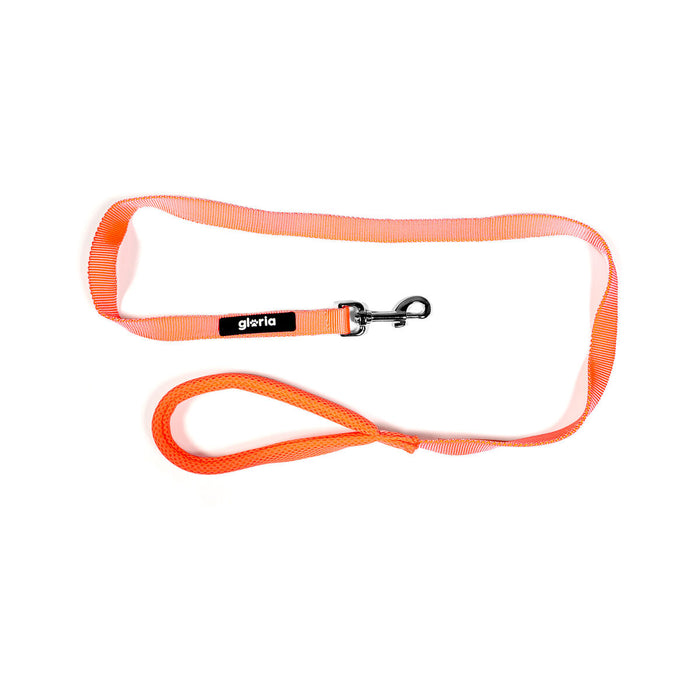 V7H46C24E8BCCE0AD6F082E0144AA85EF36R6577627P5