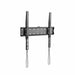 V9HECBE5A3F5011BE8941E66B0B55174702R3214030P1