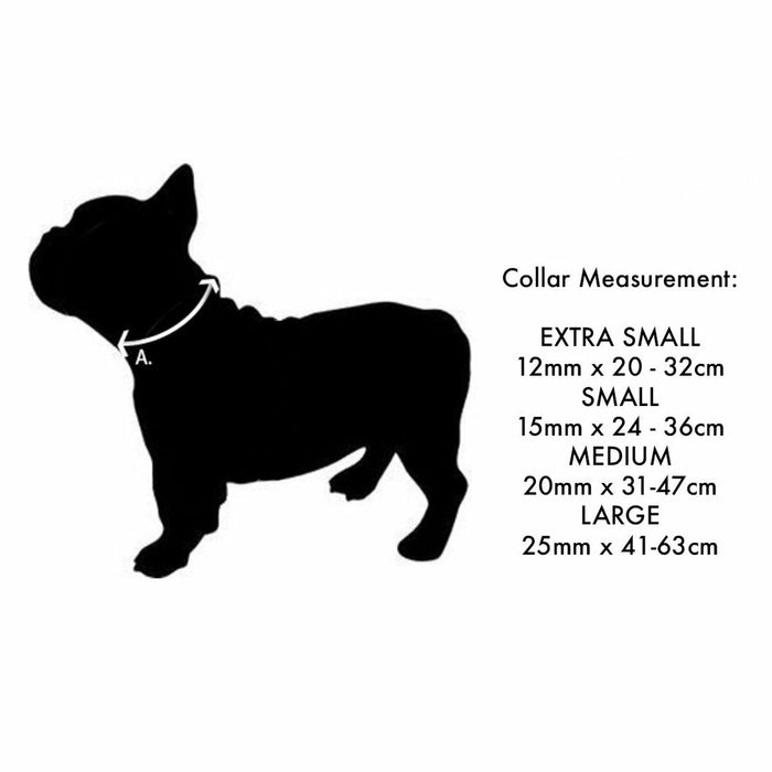 V8H0680269A916F9737214ADA35F5589072R4960559P5