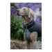 V12HB12066E0E1C0100691D04EE8A83A03B2R5590747P4
