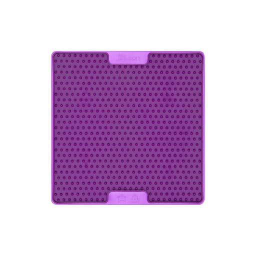 V6HA1975FF0CDC04B00F47CB0B8E9E0392DR4438086P2