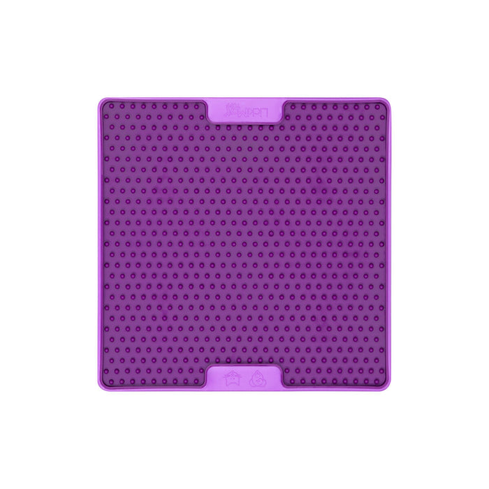 V6HA1975FF0CDC04B00F47CB0B8E9E0392DR4438086P2