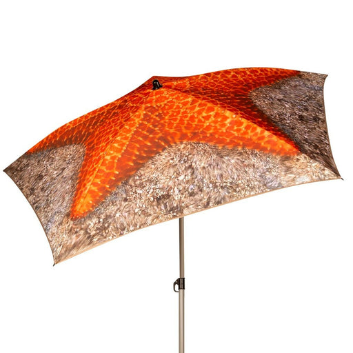 V7H5DB2662D240124E2C9E36A29A77F90C8R5424941P2